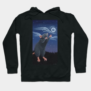 Reach for the Moon Hoodie